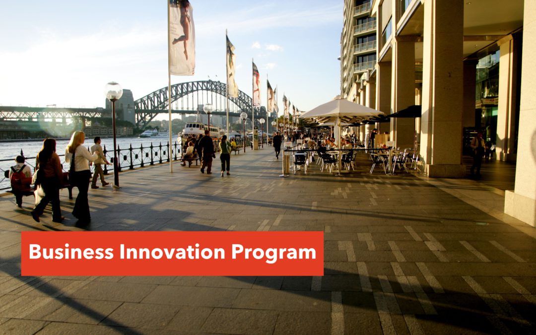 Business Innovation Program