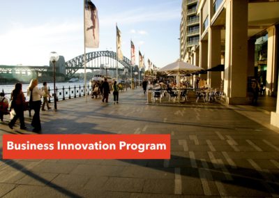 Business Innovation Program