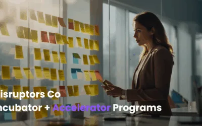 Incubator and Accelerator Programs